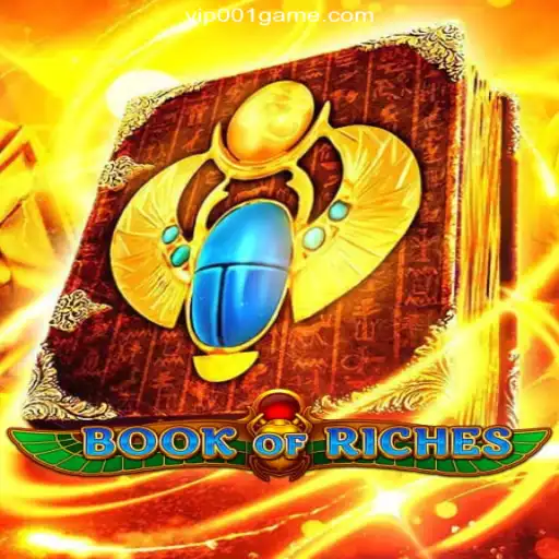 Dive into Excitement with Book of Riches: A Comprehensive Guide