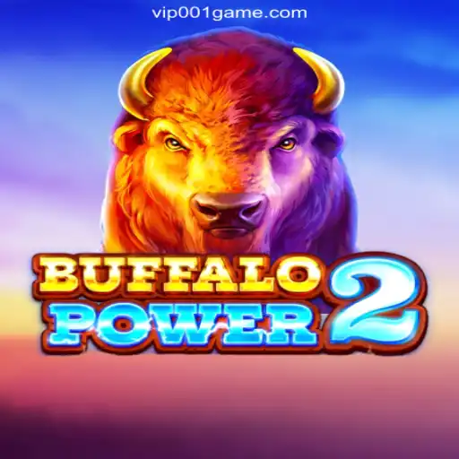 Dive Into Excitement with BuffaloPower2